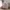 سرير-