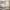 | غرفة نوم كاملة بتصميم أمريكي فاخر – تشمل سرير + كومدينتين + تسريحة + خزانة ملابس – خشب متين وتشطيب أنيق