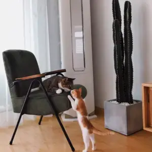 كرسي بتصميم مميز حديث