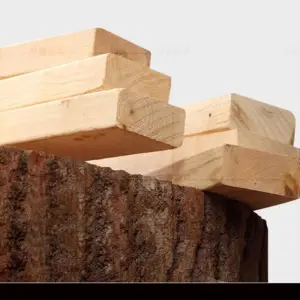 | طقم كنب بتصميم فريد