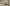 طقم كنب من تصميم ملكي