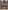 | سرير منخفض الارتفاع – تصميم عملي مع كومدينة جانبية – هيكل خشبي أنيق – مثالي للغرف الصغيرة