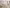 طقم كنب ملكي فاخر – تصميم كلاسيكي مطرز – تنجيد فاخر – هيكل خشبي متين – يشمل 3 و2 و1 مقاعد