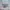 سرير-دورين-