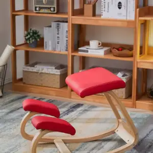 كرسي مكتب لتأهيل العمود الفقري 5 كرسي مكتب لتأهيل العمود الفقري