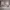 | كنب مودرن بتصميم امريكي