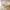 | سرير منخفض مع إضاءة بتصميم عصري وجودة عالية