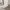 | سرير نوم جلد مودرن