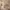 سرير-أطفال