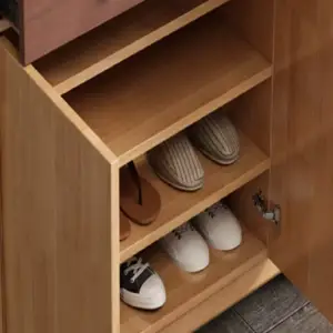 خزانة-احذية-