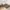 سرير هيدروليكي – تخزين سفلي ذكي – تنجيد فاخر – تصميم مريح بآلية رفع سلسة