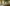 سرير ملكي كلاسيكي فاخر - تصميم ملكي - خشب متين - ضمان سنتين