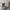سرير غرفة نوم مميز مع طاولات جانبية
