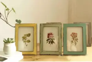 ديكور براويز صور
