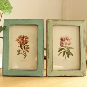 ديكور براويز صور
