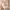 | سرير نوم اطفال دورين بتصميم مميز