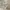 سرير-دورين-