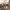 سرير-6