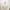 سرير دورين بتصميم بيت الشجرة