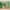 سرير مرتفع مميز بتصميم أمريكي