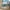 سرير دورين أطفال خشبي بتصميم نموذجي – سلم جانبي آمن – لون أبيض – ضمان سنتين